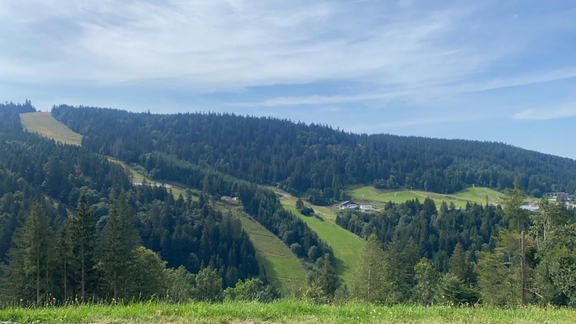 Appartement Sur Les Hauteurs De Gérardmer Exteriör bild